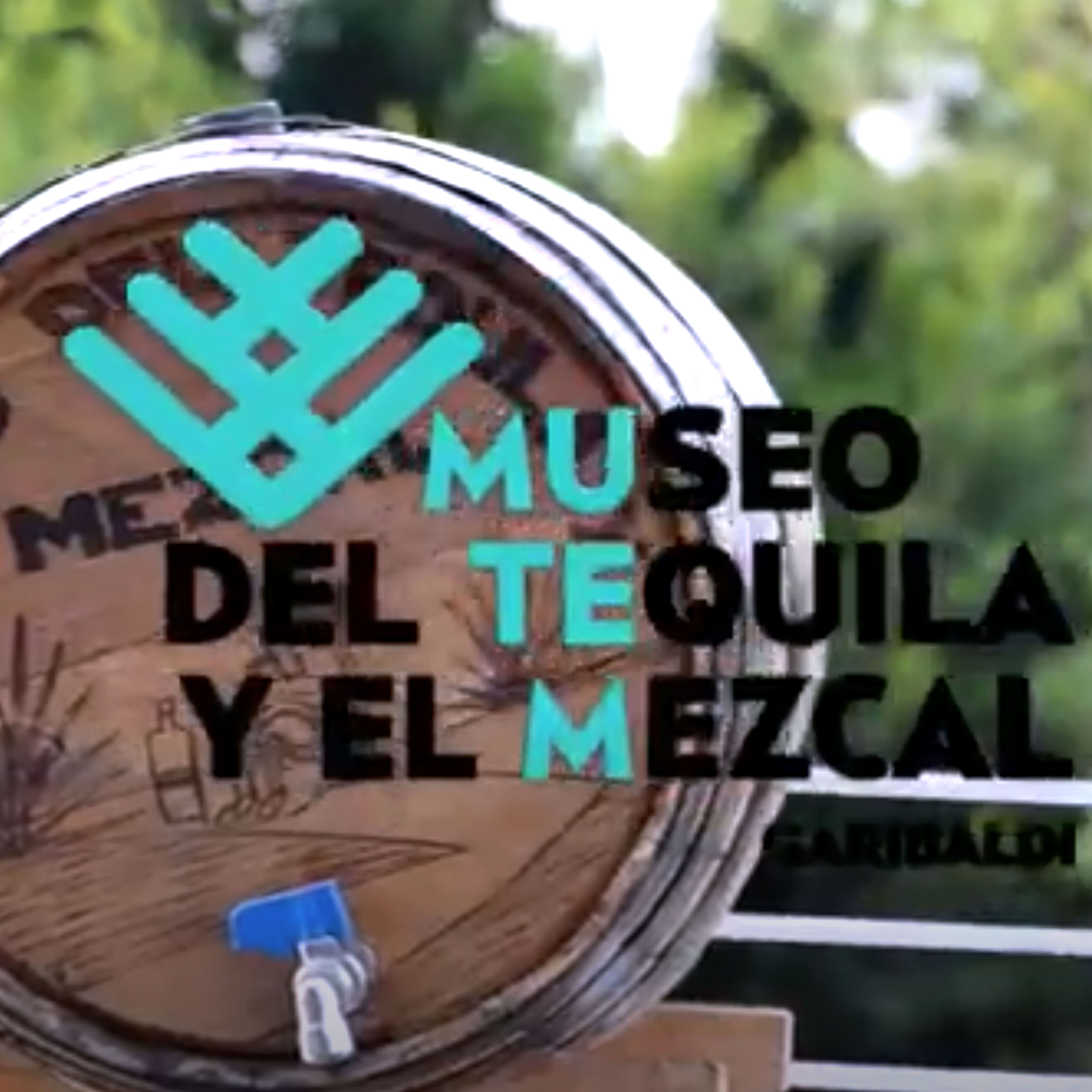 Video del Museo del Tequila y el Mezcal